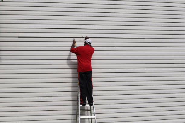 Best Stone Veneer Siding  in Lakeshire, MO